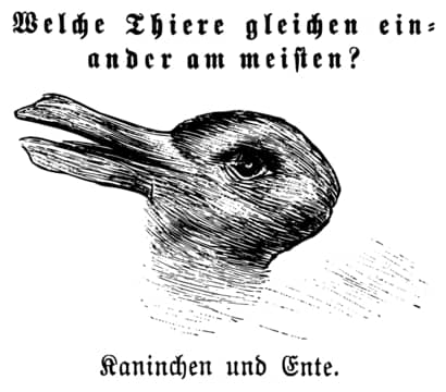 Duck or Rabbit Illusion Photo